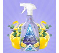 Eucalyptus And Lemon Window And Glass Cleaner