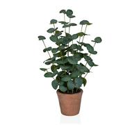 Eucalyptus - Artificial plant Green