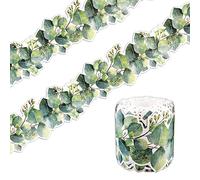 Eucalyptus Border Bulletin Board, 49ft/15m Eucalyptus Die Cut Border Green Leaves Bulletin Border Trim for Classroom School Bulletin Board Blackboard Wall Decals
