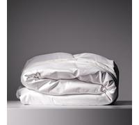 Eucalyptus Duvet Cover - Infused with Silver for Anti-Odor, Softer Than Silk Fibers, More Cooling Than Cotton - Perfect for Hot Sleepers & Sensitive Skin - 100% Tencel Lyocell - Full/Queen Size