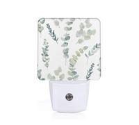 Eucalyptus Leaves Print Plug-in Night Light for Bedroom Hallway Dorm Living Room Illumination Home Decor
