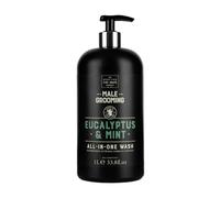 Eucalyptus & Mint All in One Wash 1-Litre Men's Grooming by Scottish Fine Soaps