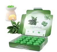 Eucalyptus Wax Melts Heart Shaped 16 Pack, Up to 96 Hours Total Fragrance, Fresh Eucalyptus Leaf Scent, Vegan Soy Wax, Heart-Shaped Melt Cubes, Deluxe Gift Box Made in UK by Spotless Leopard