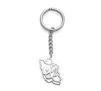 EUEAVAN Iran Map Keychain Iranian Flag Persian Calligraphy Keyring Patriotic Heritage Pride Peace Jewelry Souvenir Gift (ایران - Iran silver)