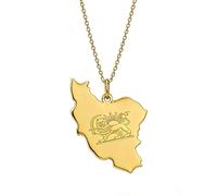 EUEAVAN Iran Map Outline Necklace Hollow Heart Iranian Flag Pendant Patriotic Heritage Pride Peace Persian Homeland Jewelry Souvenir Series Gifts for Women Men (B-Persian Lion gold)