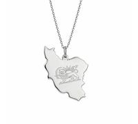 EUEAVAN Iran Map Outline Necklace Hollow Heart Iranian Flag Pendant Patriotic Heritage Pride Peace Persian Homeland Jewelry Souvenir Series Gifts for Women Men (B-Persian Lion silver)