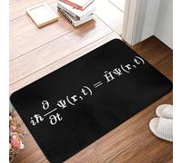 EUEKQOIB Schrodinger Equation Quantum Mechanical System design Anti slip Doormat Floor Mat Kitchen Entrance Living room Footpad