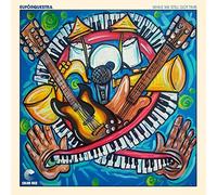 Euforquestra - While We Still Got Time [VINYL]