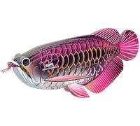 EUGY 118 Asian Arowana Eco Friendly 3D Paper Puzzle