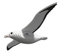 EUGY 3D Royal Albatross No.097 Model Craft Kit