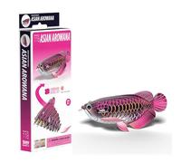 EUGY Asian Arowana 3D Model Craft Kit