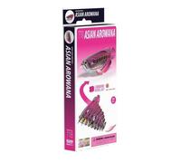 Eugy Eco Puzzle 3D 100+ Unique Animal Fantasy Figures Toys Fun Collectible