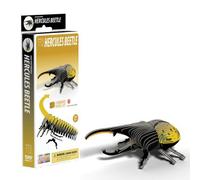 Eugy Hercules Beetle