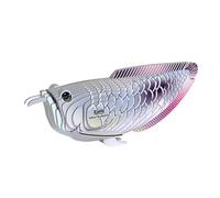 EUGY Silver Arowana 3D Puzzle, 29 Piece Paper Craft Kit for Kids 6+ | Screen Free Build, Finishes In About 30 Minutes, Pre Cut Parts, No Scissors Needed, Fun Facts Card, Stands As Shelf Decor