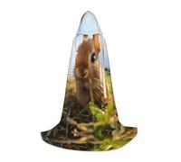 EUIYCBA Rabbit on the grass Halloween Hooded Cape Cloak - Wizard Tunic Hooded Robe Halloween Cloak Cosplay Costumes