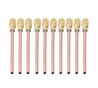 Eujgoov 10PCS Access Service Valves Brass Air Conditioner Charge Needle Valve Replacement for Refrigeration Systems Threaded Connector for Refrigerators Trucks Freezers