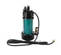 Eujgoov 1in DC Submersible Well Pump 72ft Head 18GPM 300W Copper Motor with 23ft Cable for Livestock Boats Farms Ponds (DC12V)