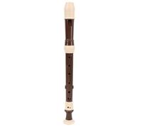 Eujgoov Soprano Recorder, ABS Detachable 8 Hole Recorder Instrument with Cleaning Rod and Storage Bag, English Manual 3 Piece Design for Beginners Kids Adults School Home (Brown)
