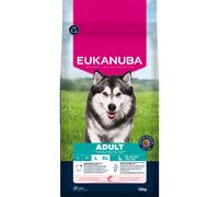 no pork Eukanuba Adult Large Salmon & Barley 12kg