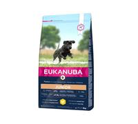 Eukanuba Junior Dog Food For Large Dogs Rich In Fresh Chicken For the Optimal Body Condition of Your Dog, 12 kg