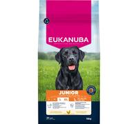 Eukanuba Premium Nutrition Junior Large & Giant Breed Chicken - Economy Pack: 2 x 15kg