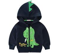 EULLA Boys Hoodies Sweatshirt Kids Dinosaur Jumper Zip Up Long Sleeve Hooded Winter Coats Jacket Cotton 3-4 Years