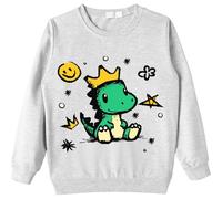 EULLA Boys Jumper Toddler Dinosaur Sweatshirt Long Sleeves T-shirt Cotton Dino Tops Crewneck Age 2-3 Years