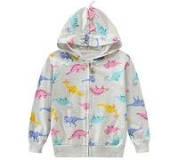 EULLA Hoodie for Girls Jumper Zip Cotton Dinosaur Sweatshirts Jacket Sweet Outfit Long Sleeve Shirt Gift 5-6 Years