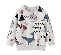 EULLA Toddler Boys Sweatshirts Dinosaur Jumper Kids Long Sleeve Tee Shirts Tops Crew-Neck Pullover Cotton Clothes Age 2-3 Years