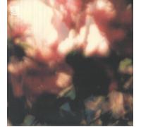 EUPHONIC ALLIANCES LTD - Peace Is It In You? - Vinyl (12")