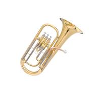 Euphonium Kit Three Flat Key Euphonium In B Flat A Beginner Level Instrument Available For School And Performance.(Three vertical keys)