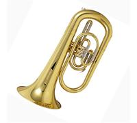 Euphonium Performance Exam Advanced Adult Beginner Instrument Gold Standard Professional Euphonium