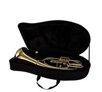 Euphonium Sets B Flat Major Three Key Euphonium Instrument Orchestra Band