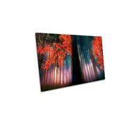 Euphoria Red Autumn Forest Canvas Wall Art Picture Print CanvasGeeks Red W36 inch x H24 inch x D40mm