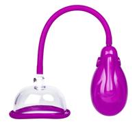Euphoria Vacuum Smart Electronic Pussy Pump