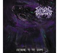 Euphoric Defilement - Ascending to the Worms