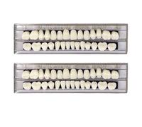 EUPSIIU 2 Pieces False Teeth Dental Complete Acrylic Resin Denture Teeth 2 Set Whole Teeth Synthetic Polymer Denture Tooth Cosplay Costume Ornament Supplies Halloween Makeup Replacement DIY (2 pcs)