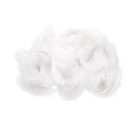 EUPSIIU 200 Pieces Feathers for Crafts, White Feathers, Natural Goose Feathers for Crafting DIY, White Feather Ornament, for Decoration Dreamcatcher Party Wedding Costumes (White)