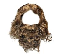 EUPSIIU Mens Wigs Long Curly Fluffy Wig and Moustache Cosplay Halloween Character Costume Brown Wig Beard Fancy Dress Costume Layered Curly Fake Wizard Hair Adult Christmas Cosplay Party (Brown)