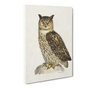 Eurasian Eagle Owl By Von Wright Canvas Print | Gallery Wrapped 30mm Frame Wall Art | 20x14 inches | Ready to Hang | Retro Animals Picture | Living Room Bedroom Lounge Office