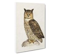 Eurasian Eagle-Owl by Von Wright Canvas Print | Gallery Wrapped 30mm Frame Wall Art | 30x20 inches | Ready to Hang | Modern Animals Picture | Living Room Bedroom Lounge Office