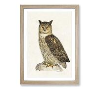 Eurasian Eagle-Owl by Von Wright Framed Print | A2 Oak Framed Wall Art | Ready to Hang | Modern Animal Picture | Living Room Bedroom Lounge Office