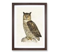 Eurasian Eagle-Owl by Von Wright Framed Print | A2 Walnut Framed Wall Art | Ready to Hang | Modern Animal Picture | Living Room Bedroom Lounge Office
