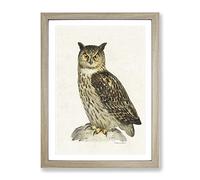 Eurasian Eagle Owl By Von Wright Vintage Framed Print | A2 Oak Framed Wall Art | Ready to Hang | Classic Animal Picture | Living Room Bedroom Lounge Office