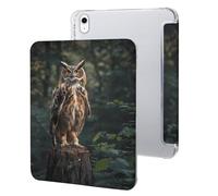Eurasian Eagle Owl Case Compatible for IPAD 10代 (10.9in) Tablet Cases Protective Stand Cover