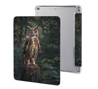 Eurasian Eagle Owl Case Compatible for IPAD 2017/2018/Air1/Air2 (9.7in) Tablet Cases Protective Stand Cover