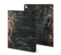 Eurasian Eagle Owl Case Compatible for IPAD 2020 （10.2in） Tablet Cases Cover with Pencil Holder Auto Wake/Sleep