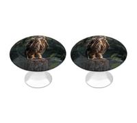 Eurasian Eagle Owl Drawer Knobs Cabinet Handle Drawer Pulls