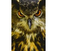 Eurasian Eagle Owl Portrait Journal: 150 page lined notebook/diary