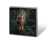 Eurasian Eagle Owl Square Badge Funny Button Pins Brooch